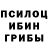 Галлюциногенные грибы мицелий co47795
