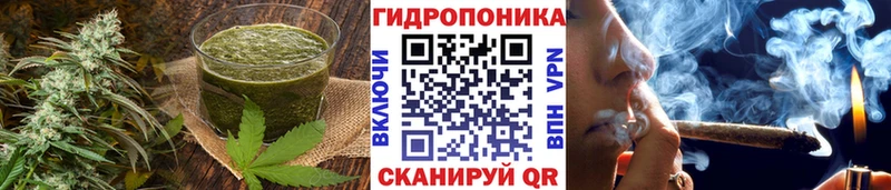 Canna-Cookies конопля  Купить  Балахна 