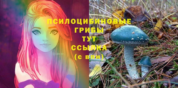 мяу мяу кристалл Костерёво