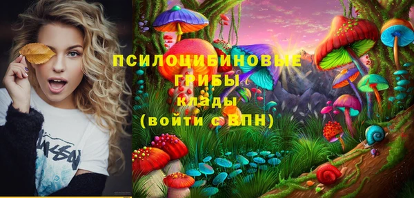 индика Корсаков