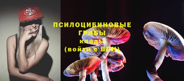 соль ск Коряжма
