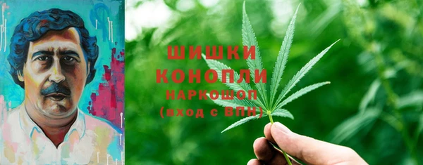 индика Корсаков
