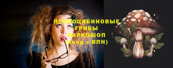 индика Корсаков