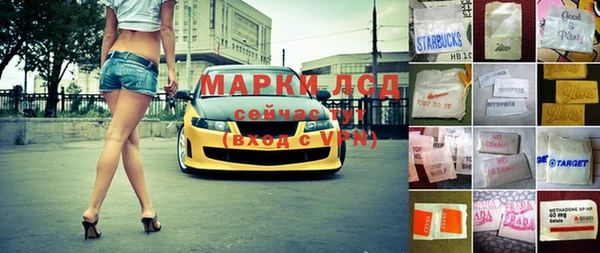 индика Корсаков