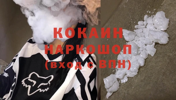 индика Корсаков