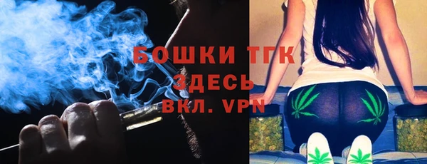 индика Корсаков