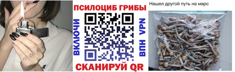 Псилоцибиновые грибы MAGIC MUSHROOMS  Купить закладки  Балахна 